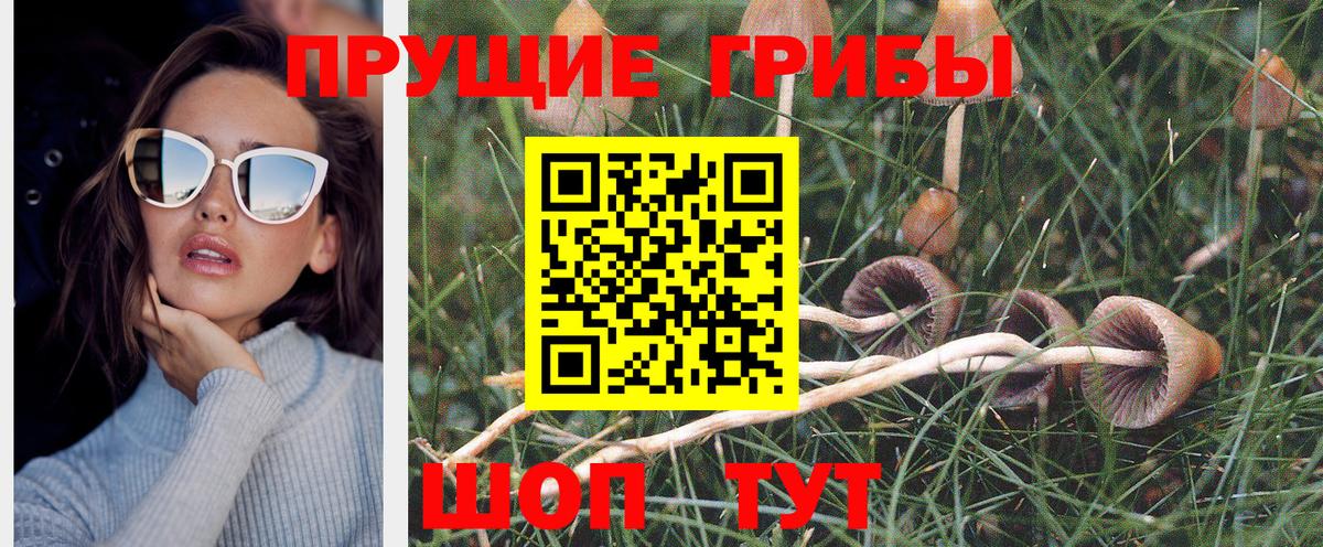 Галлюциногенные грибы GOLDEN TEACHER  Вход с VPN  Майкоп 